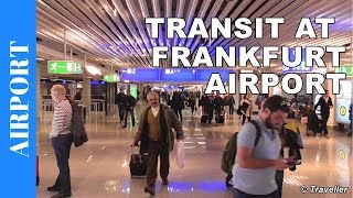 TRANSIT WALK AT FRANKFURT Airport FRA Terminal 1  Connection Flight Transfer Arriving amp Departing [upl. by Nosrak558]